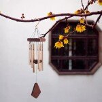 Nature’s Melody