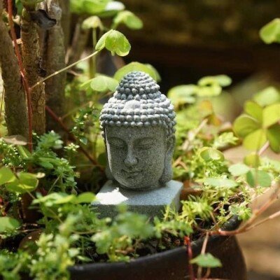 Buddha Head